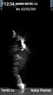 Котенок в темноте для Nokia 5235 Cwm
