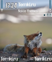 Лисенок для Nokia 6680