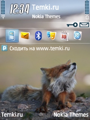 Лисенок для Nokia N78