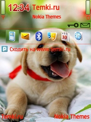 Щеночек для Nokia N82