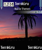 Одинокая пальмы для Nokia N72