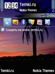 Одинокая пальмы для Nokia 6700 Slide