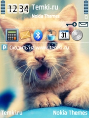 Котенок для Nokia 6700 Slide