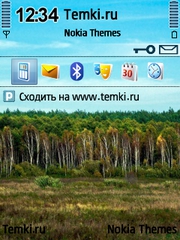 Белорусский лес для Nokia N96