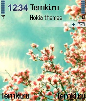 Цветочная ветка для Nokia N72