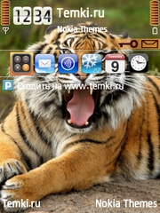 Сумасшедший тигр для Nokia N96