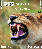 Львиный рык для Nokia 6682