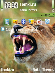 Львиный рык для Nokia N95 8GB