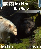 Првед,медвед для Nokia 3230
