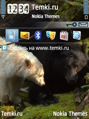 Првед,медвед для Nokia 5730 XpressMusic