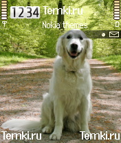 Собака для Nokia 6681