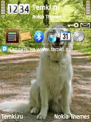 Собака для Nokia 6220 classic