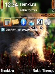 Малыш испуган для Nokia 6760 Slide