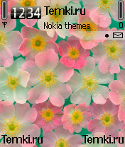 Розовые анемоны для Nokia 6630