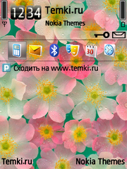 Розовые анемоны для Nokia E90