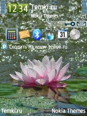 Водяная лилия для Nokia 6220 classic