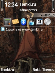 Жертвенность для Nokia N71