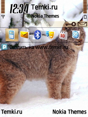 Рысь в снегах для Nokia 6790 Slide