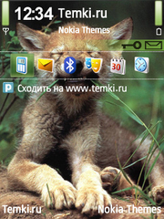 Ребёнок счастлив для Nokia N71