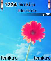 Цветок для Nokia 6620