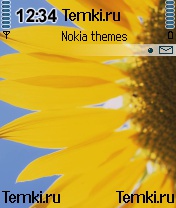 Подсолнух для Nokia 6620