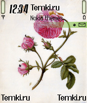Скриншот №1 для темы Цветок