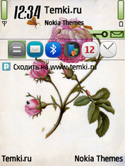Цветок для Nokia E61