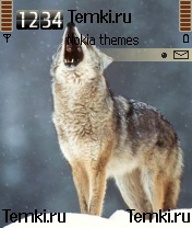 Волк в отчаянии для Nokia 6681