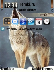 Волк в отчаянии для Nokia N73