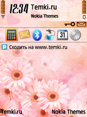 Цветочки для Nokia X5 TD-SCDMA