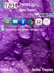 Роса На Цветах для Nokia N95 8GB