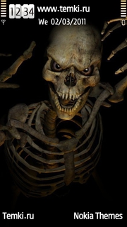 Скелет для Nokia X6
