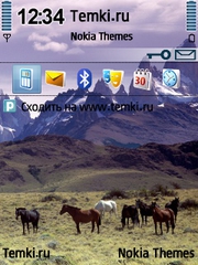 Лошади в Андах для Nokia E66