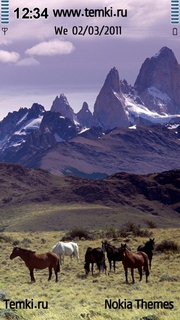 Лошади в Андах для Sony Ericsson Vivaz