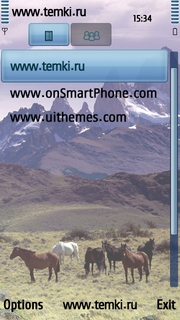 Скриншот №3 для темы Лошади в Андах