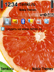 Грейпфрут для Nokia 6205