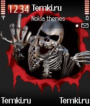 Скелет для Nokia N70