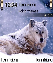 Волк в снегу для Nokia N70