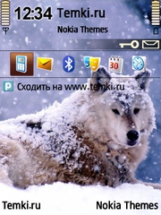 Волк в снегу для Nokia E60