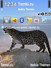 Грозный зверь для Nokia X5-01