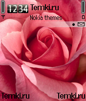 Розовая роза для Nokia N70