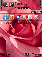 Розовая роза для Nokia E52