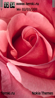 Розовая роза для Nokia 5228