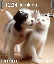 Как кошка с собакой для Nokia 6682