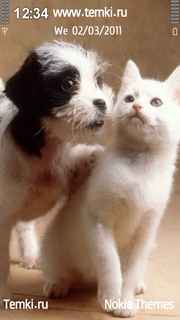 Как кошка с собакой для Nokia N97 mini