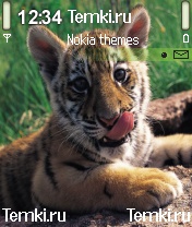 Котёна для Nokia N90