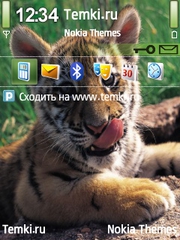 Котёна для Nokia E52