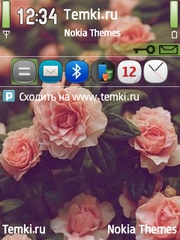 Цветы для Nokia N73