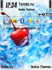 Вишня для Nokia 6760 Slide