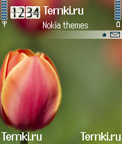 Цветок для Nokia 6682